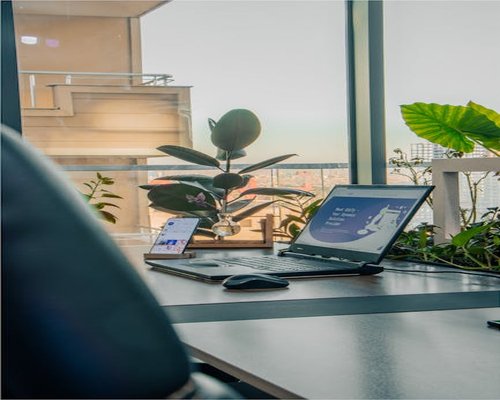 A modern home office setup in Mexico City with natural light and plants
